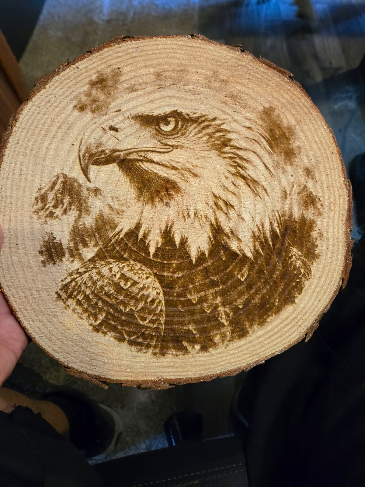 Bald eagle, carved at depth